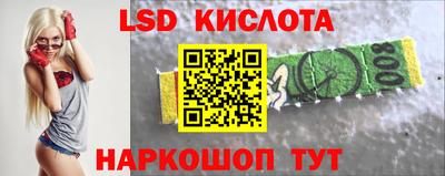 гидропоника Пенза