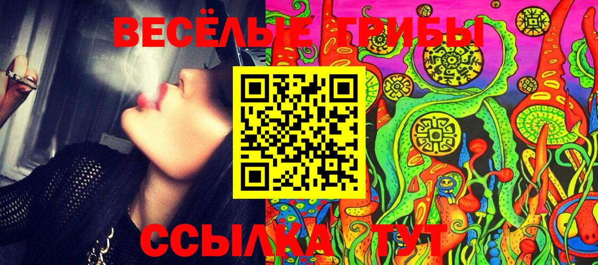 Псилоцибиновые грибы MAGIC MUSHROOMS Соль-Илецк